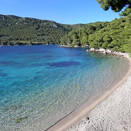 Apartments By The Sea Zuljana, Peljesac - 19080 Exterior foto